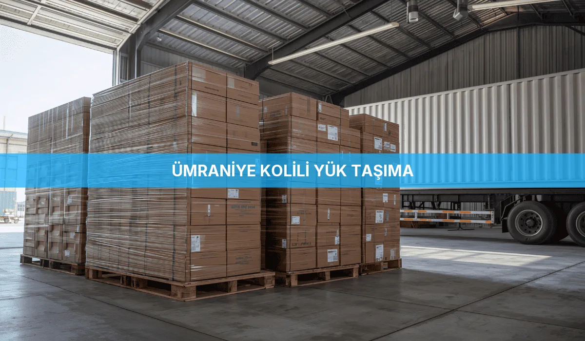 Ümraniye Kolili Yük Taşıma